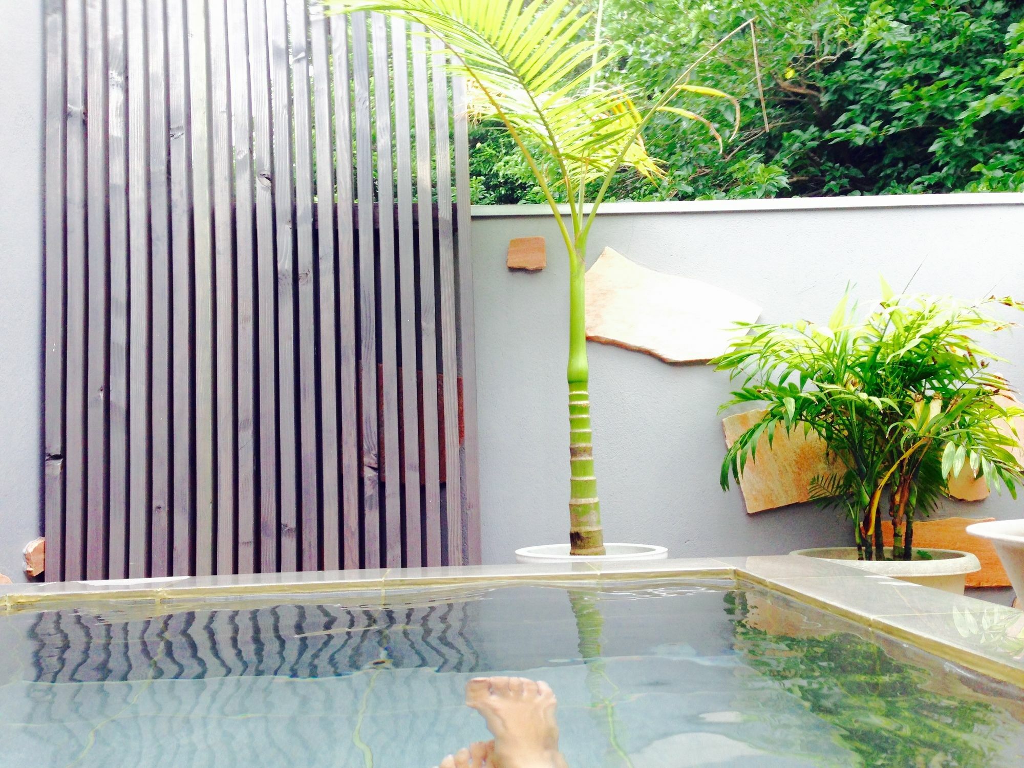 Beach Side Inn Shirahama Shimoda  Luaran gambar