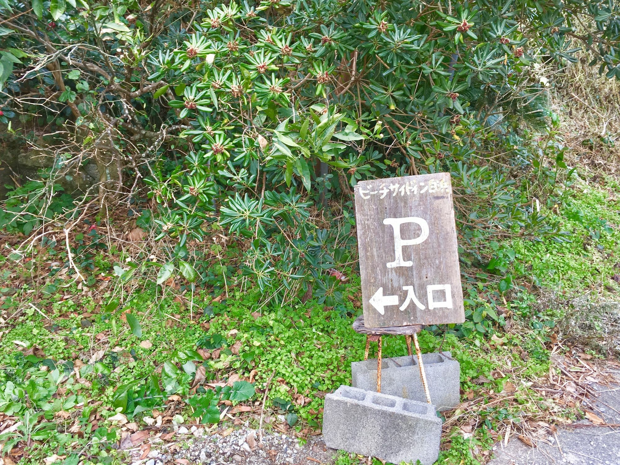 Beach Side Inn Shirahama Shimoda  Luaran gambar